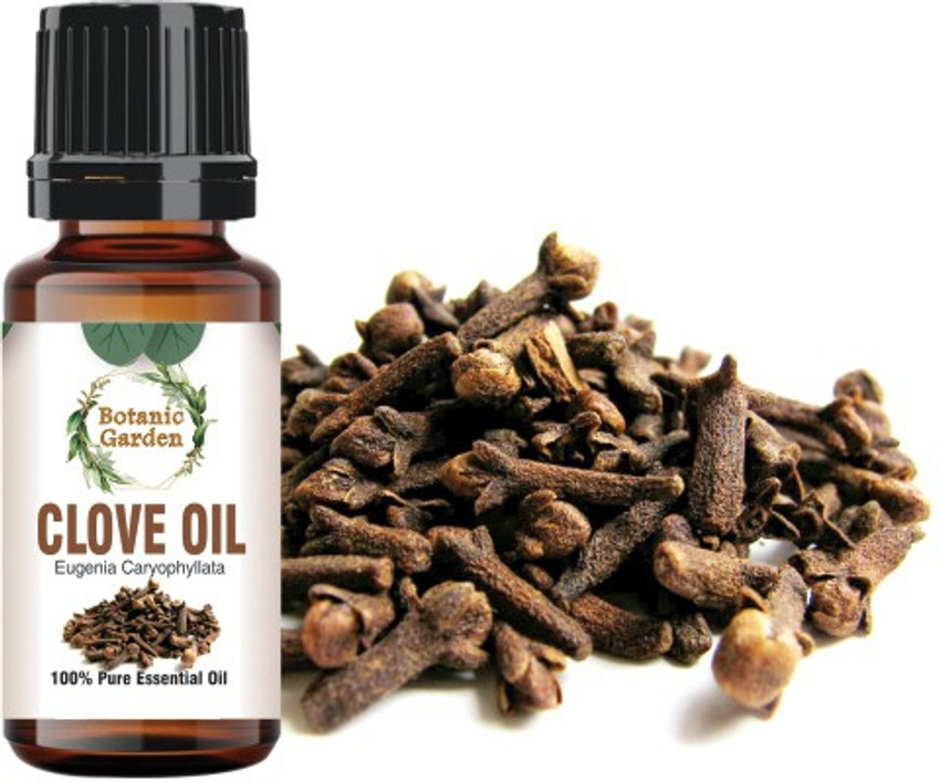 botanic garden Clove Oil Eugenia caryophyllata For Bacterial Viral Fungal Toothache Gum Disease Bronchitis Warts Scabies Ringworm Undiluted 100 Pure Essential Oil Price in India Buy botanic garden Clo...