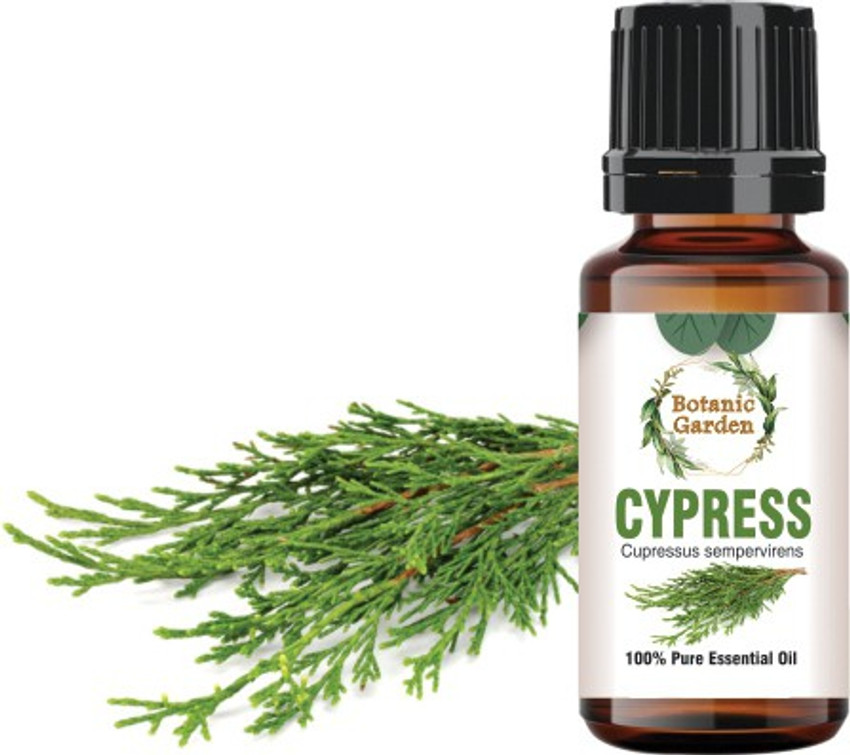 botanic garden Cypress Oil Cupressus sempervirens For Varicose Veins Haemorrhoids Menopausal Symptoms Fluid Retention Undiluted 100 Pure Essential Oil Price in India Buy botanic garden Cypress Oil Cup...