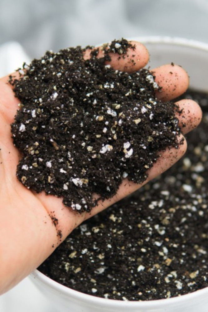 Gardenia Soil Best Soil Mix For Raised Garden Beds - Home Soils Compost ...