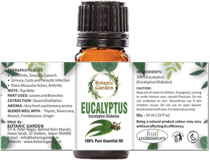 Eucalyptus Globulus – Rosemary's Garden