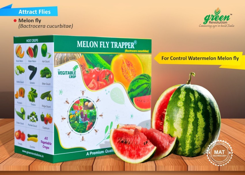 Green Revolution Melon Fruit Fly Trapper (Vegetable Fruit Fly Pheromone  Trap) Complete for a one-acre pack of 10 (1 Unit).