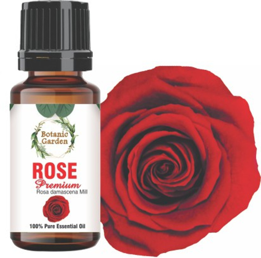 botanic garden Rose Premium Rosa damascena Mill For Depression Anxiety Tension Phobia Acne Skin Hydration Scarring Premature Ageing Undiluted 100 Pure Essential Oil Price in India Buy botanic garden R...