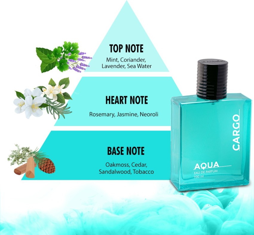 Buy CFS PERFUME CFS Aqua Blue Perfume Perfume - 100 ml Online In India