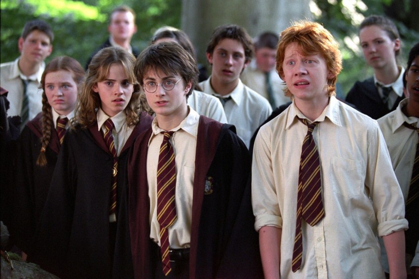 Harry, Hermione & Ron (Harry Potter 7)