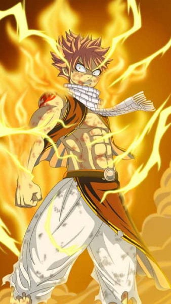 Fairy Tail Anime Natsu Dragneel Paint By Numbers - PBN Canvas