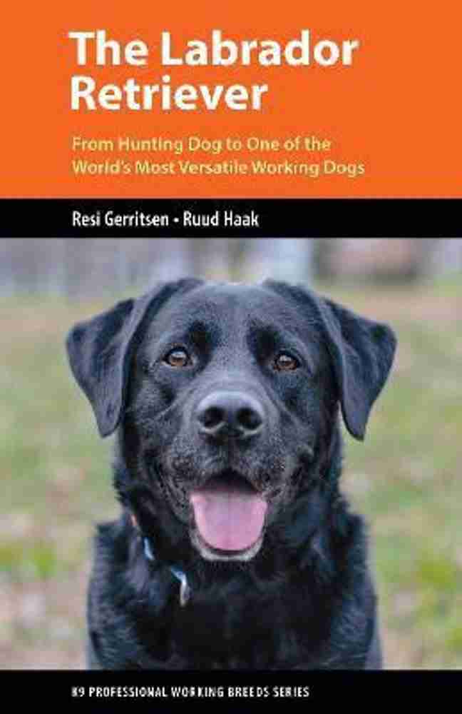 The Labrador Retriever Buy The Labrador Retriever by Gerritsen