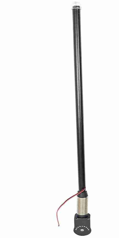 Chrome car best sale antenna
