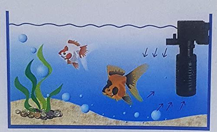 500l cheap fish tank
