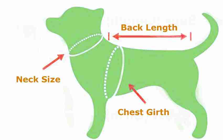 Labrador harness outlet size