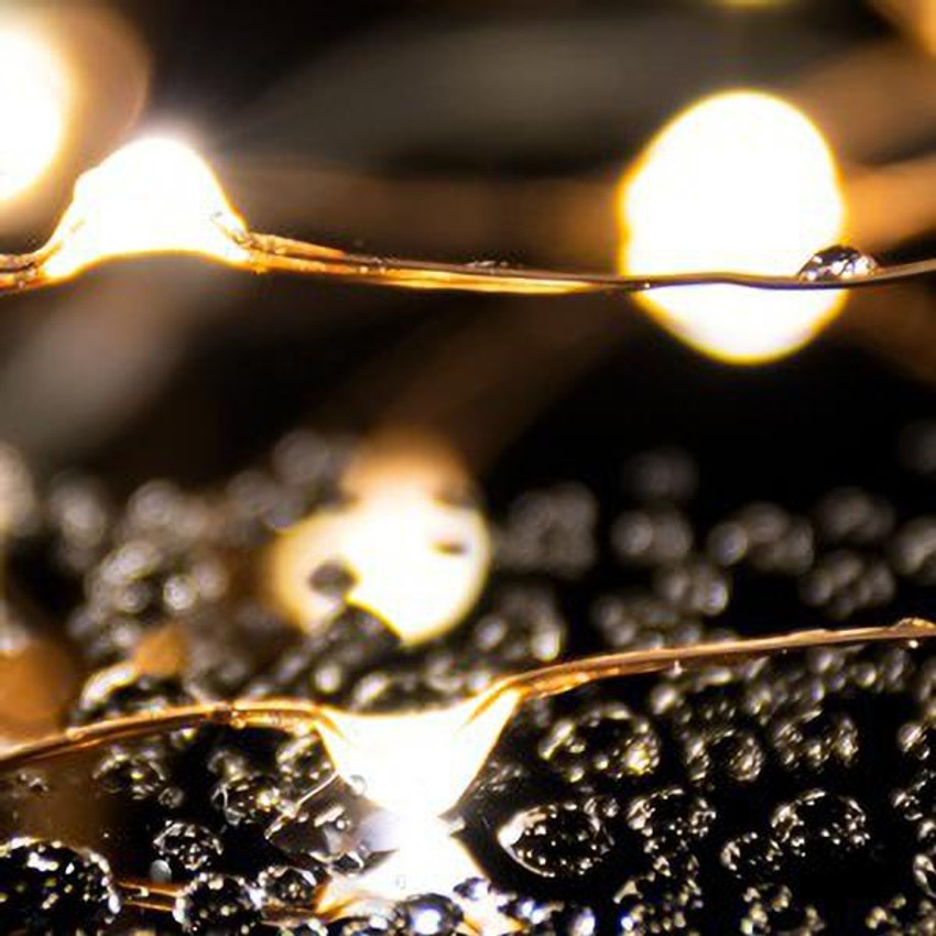 Ltettes lights best sale