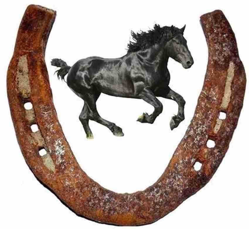 Black horse shoe ring online online