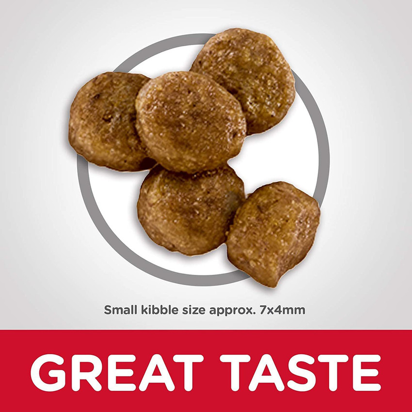 Science diet healthy hot sale development small bites