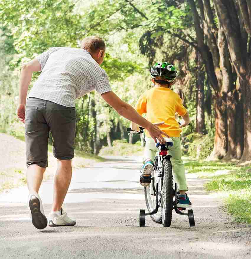 Training wheels for online large bikes