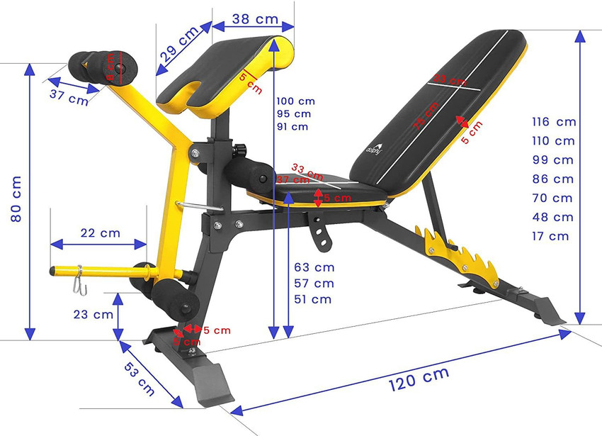 DOLPHY Adjustable Weight Bench for Full Body Workout Incline and Decline Weight Bench Multipurpose Fitness Bench Price in India Buy DOLPHY Adjustable Weight Bench for Full Body Workout Incline and Dec...