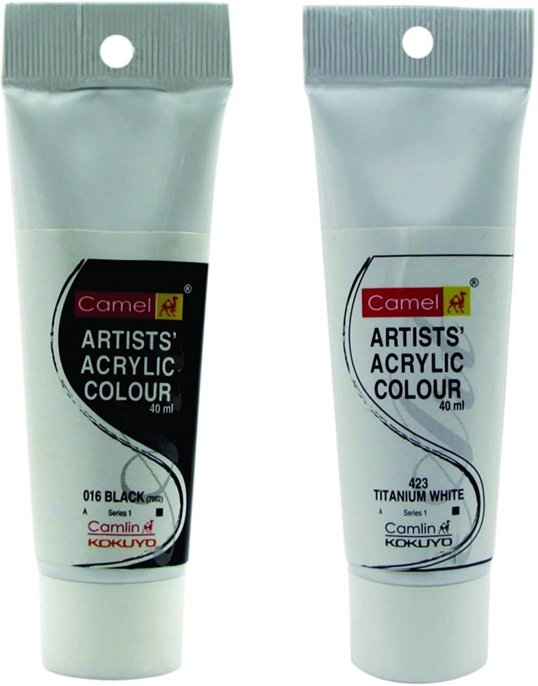 Acrylic Color Paint, Titanium White, 2 Extra-Large 120ml Tubes