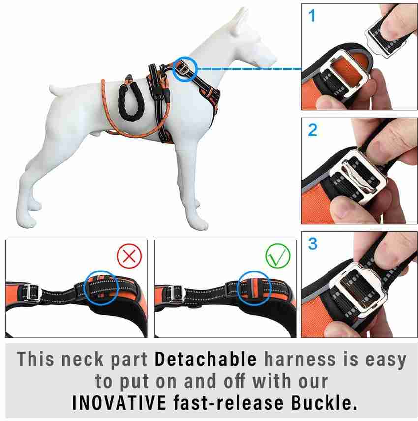 Restraint harness for dogs new arrivals