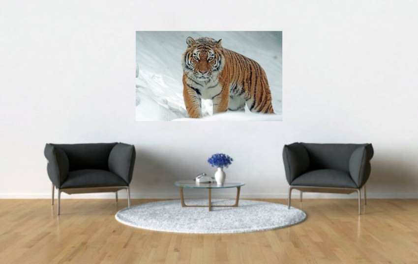 3D Wallpaper Tiger and Peacock Pattern Wallpaper Self Adhesive Bedroom  Living Room Dormitory Decor Wall Mural Wardrobe Sticker  AliExpress