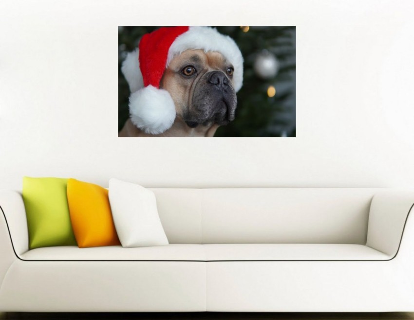Christmas Dog Wallpaper for iPhone 11 Pro Max X 8 7 6  Free Download  on 3Wallpapers