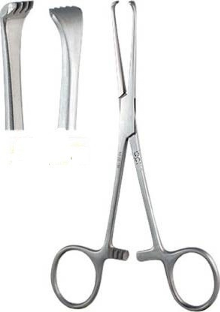 ARINEO Allis tissue grasping forceps german steel surgical instrument 6 inch 15 cm Tissue Forceps Price in India Buy ARINEO Allis tissue grasping forceps german steel surgical instrument 6 inch 15