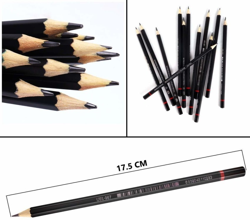  RVKA Art Pencils for Sketching Shading Drawing Pencil for  Artists, Professionals & Students, B 2B 3B 4B 5B 6B 7B 8B HB H 2H F, USL  967