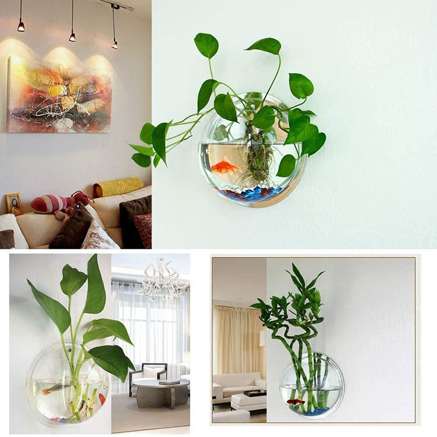 Plant with deals fish in bowl