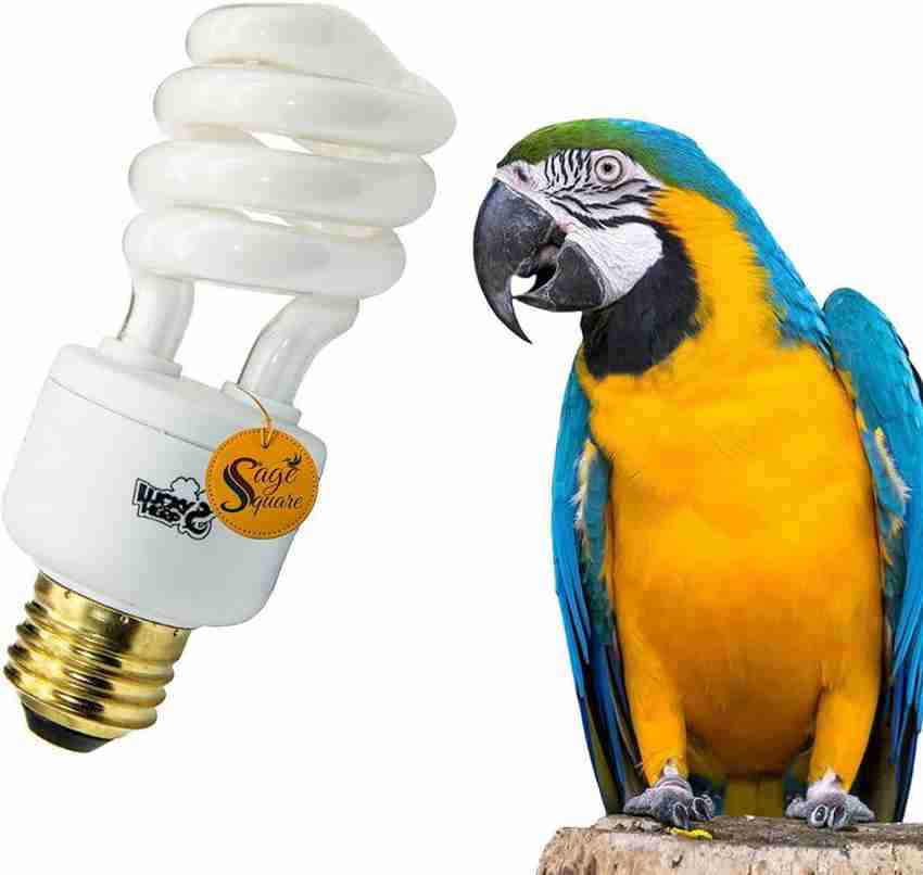 Sage Square Compact Fluorescent Bird Lamp Full Spectrum