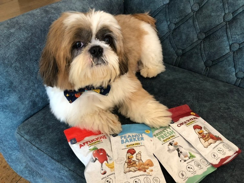 Free dog box outlet