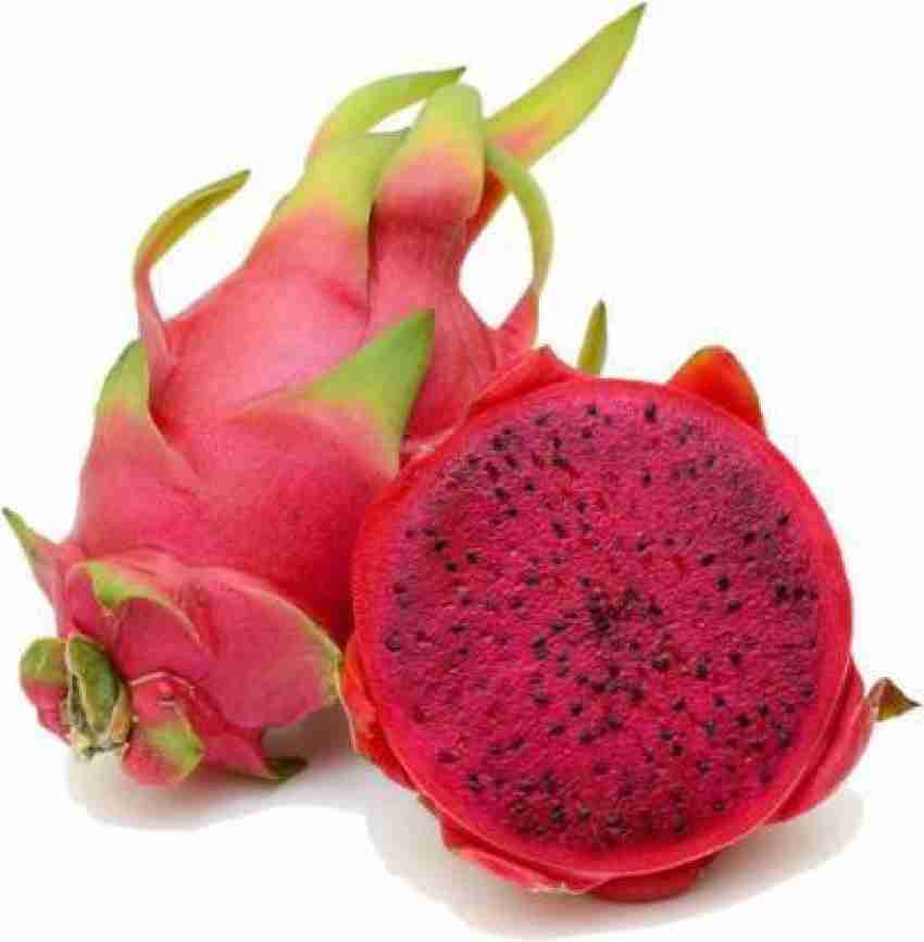 Seeds Shop  Pitaya Red Dragon fruit Seeds - Plant & Growing Guide