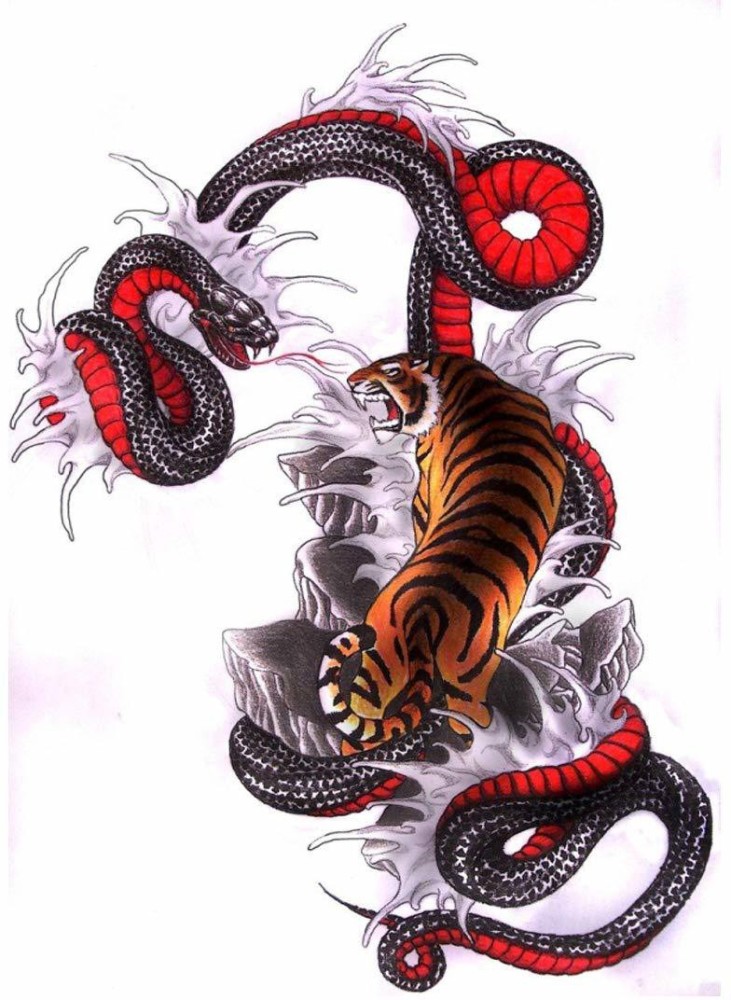 Dragon Tiger Tattoo Cliparts Stock Vector and Royalty Free Dragon Tiger  Tattoo Illustrations