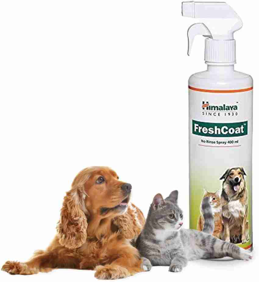 Fresh coat spray for dogs online