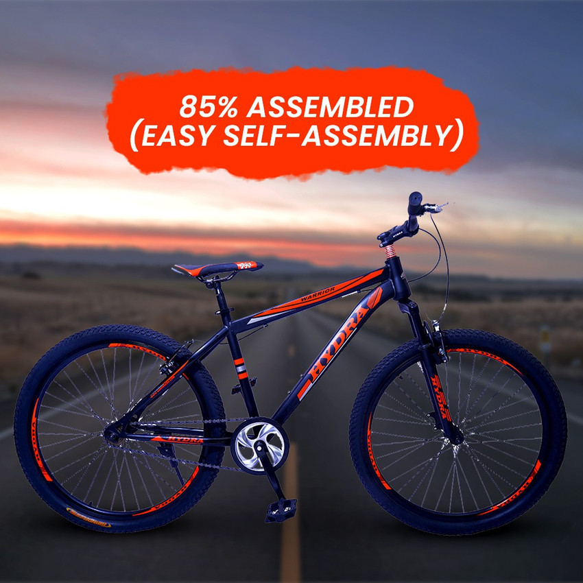 Fittrip snyper 29 single speed deals mtb