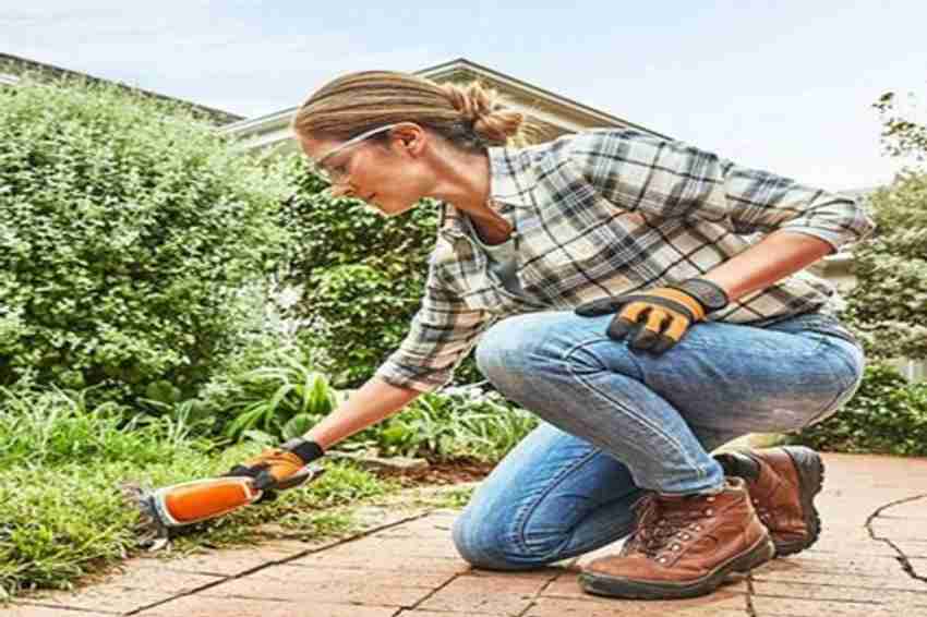 STIHL HSA 26 Cordless Shrub Shears Hedge Trimmer AS2 Batery Al 1