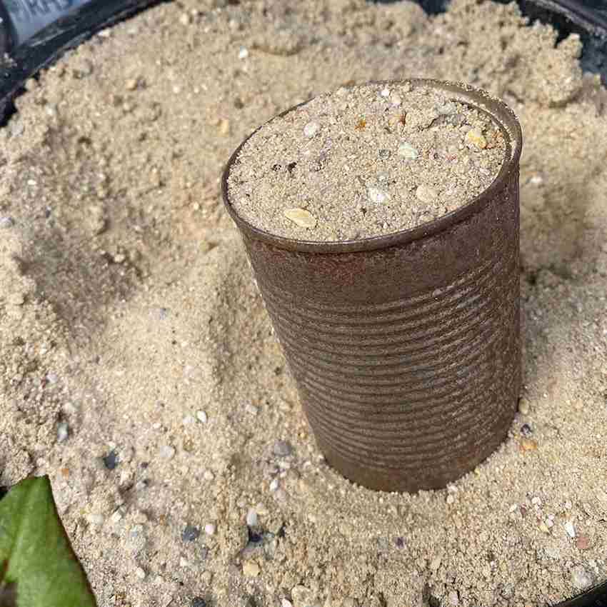 Horticultural sand top