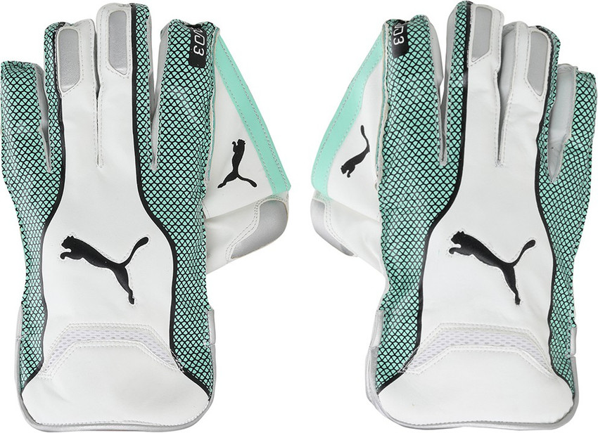Puma evo 3 wicket keeping gloves 2025