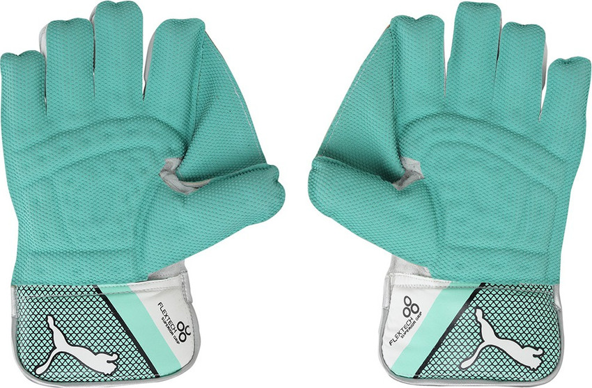 PUMA EVO 3 Wicket Keeper glove Wicket Keeping Gloves