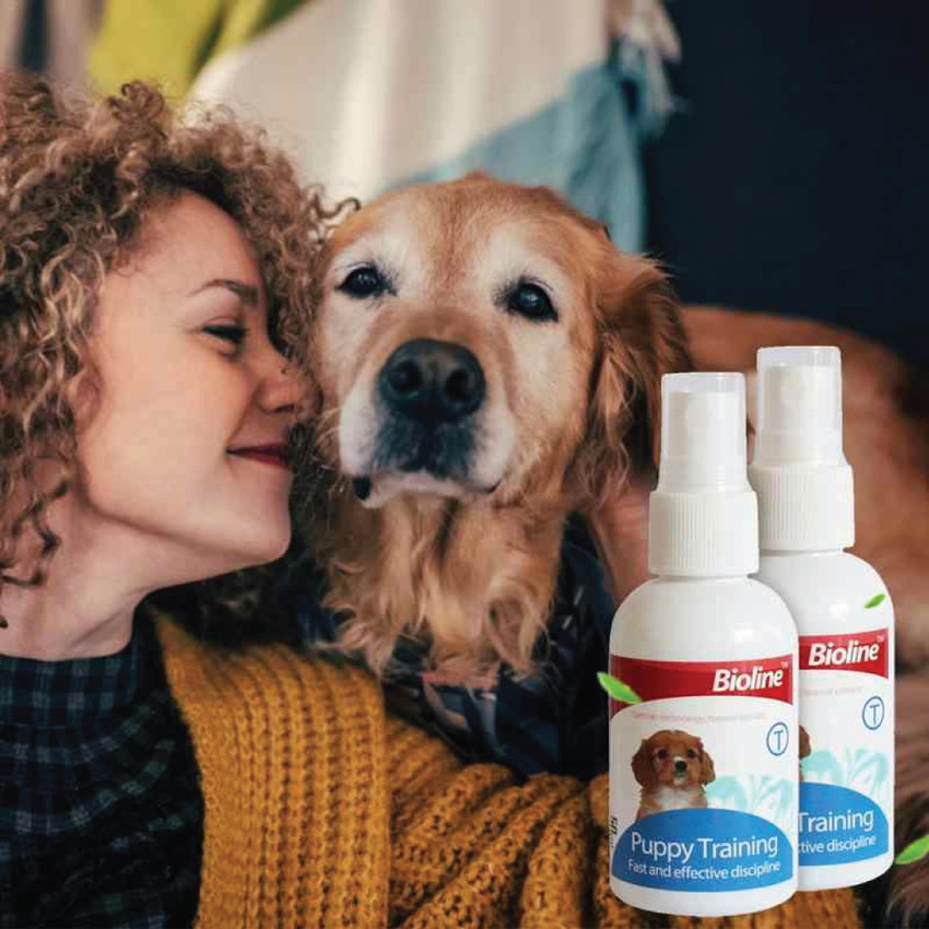 8 in 1 store puppy trainer spray