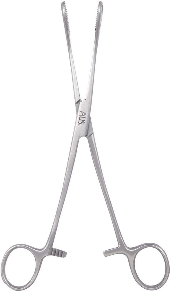 Sponge top holder forcep