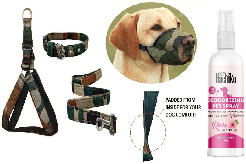 Hachiko Best Quality Dog Padded Belt Harness Leash Collar Dog