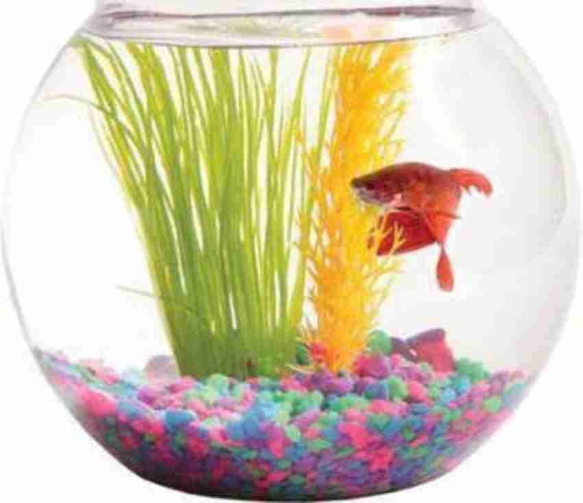 5 litre clearance fish bowl