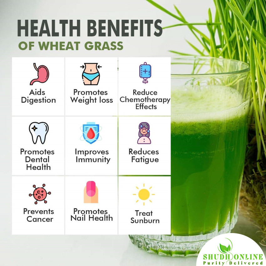 Wheatgrass juice hotsell for weight loss