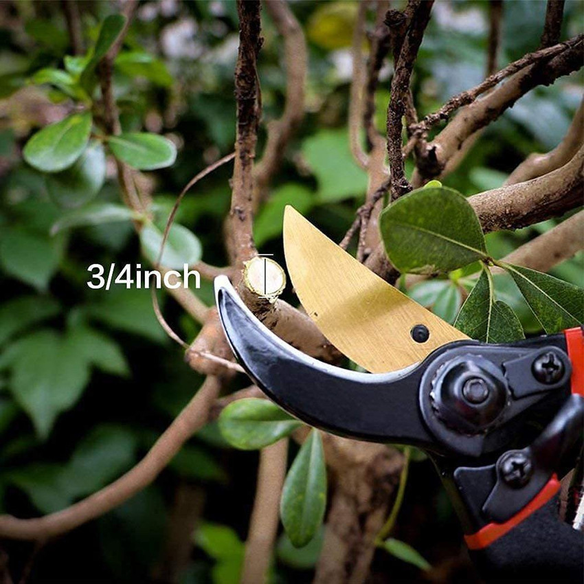 Plant store cutter tool
