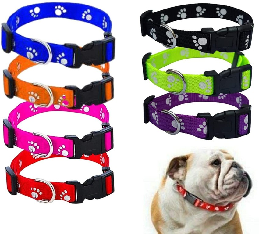 Dog sale accessories flipkart