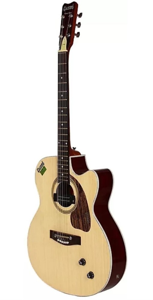 Givson 2024 guitar flipkart