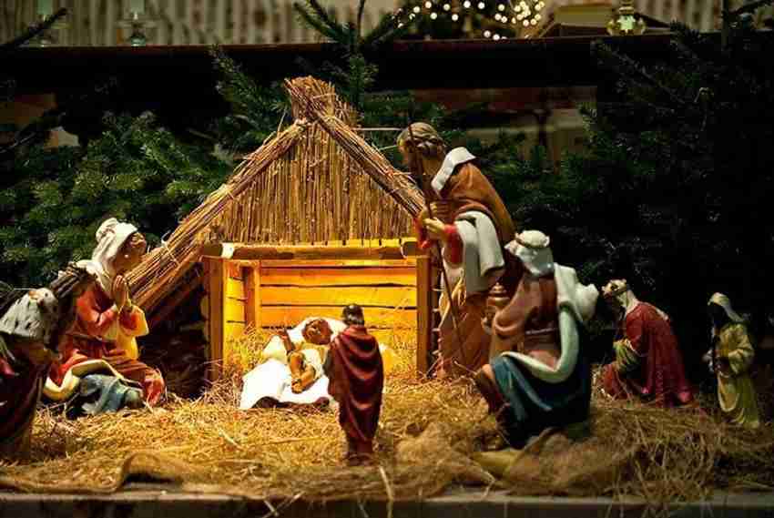 Fertico Christmas Crib Grass Manually Extracted Natural Hay