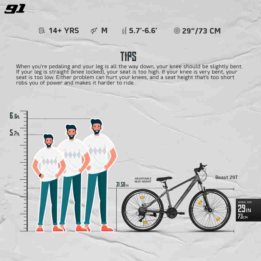 29er mtb size discount chart