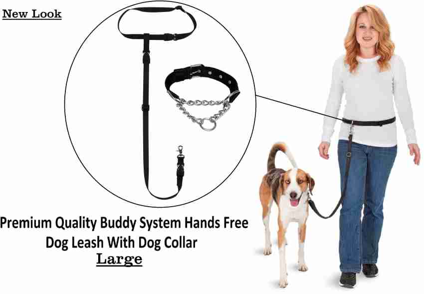 The 7 Best Hands-Free Dog Leashes