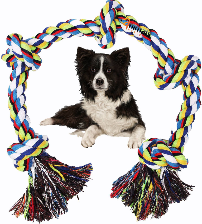 Giant online dog rope