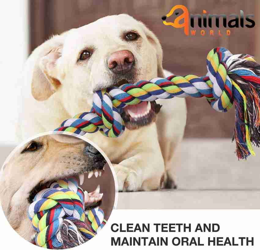 Giant dog rope toy online