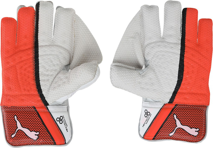 PUMA EVO 1 Wicket Keeper glove Wicket Keeping Gloves Buy PUMA