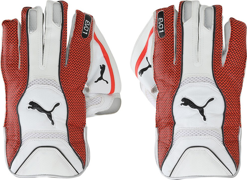 Puma evo 1 wicket keeping gloves sales